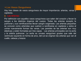  Los Vasos Sanguíneos
Hay tres clases de vasos sanguíneos de mayor importancia: arterias, venas y
capilares.
2. Las Arterias:
Por definición son aquellos vasos sanguíneos que salen del corazón y llevan la
sangre a los distintos órganos del cuerpo. Todas las arterias excepto la
pulmonar y sus ramificaciones llevan sangre oxigenada. Las arterias pequeñas
se conocen como arteriolas que vuelven a ramificarse en capilares y estos al
unirse nuevamente forman las venas. Las paredes de las arterias son muy
elásticas y están formadas por tres capas. Las arterias principales son la aorta
y la arteria pulmonar. La aorta es unvaso sanguíneo grueso que sale del
ventrículo izquierdo en forma de arco, del cul se originan las arterias que van al
cuello, cabeza y brazos
 