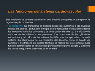 Las funciones del sistema cardiovascular
Sus funciones se pueden clasificar en tres ámbitos principales: el transporte, la
regulación y la protección.
 El transporte: Se transporta el oxígeno desde los pulmones a las diversas
células del cuerpo. Su función principal es de transportar los nutrientes desde
los intestinos hasta los pulmones y de otras partes del cuerpo, y el dióxido de
carbono de las células a los pulmones. Las hormonas de las glándulas
endocrinas y el calor de las células también son transportadas por este
sistema. La eliminación de los productos del desecho como el dióxido de
carbono y el nitrógeno del cuerpo también se realiza por este sistema. Esta
función del transporte se lleva a cabo principalmente por la sangre y la red de
los vasos sanguíneos presentes en el sistema.
 