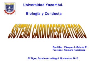 Universidad Yacambú.
 
Biología y Conducta
Bachiller: Vásquez L Gabriel E.
Profesor: Xiomara Rodríguez
El Tigre, Estado Anzoátegui, Noviembre 2016
 