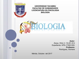 UNIVERSIDAD YACAMBU
FACULTAD DE HUMANIDADES
LICENCIATURA EN PSICOLOGIA
BIOLOGÍA
Autor:
Zerpa. Oliris V- 16.201.814
Expediente: HPS-17300129V
Profesora:
Rodríguez, Xiomara
Mérida, Octubre del 2017
 