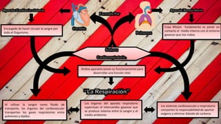 Al utilizar la sangre como fluido de
transporte, los órganos del cardiovascular
transportan los gases respiratorios entre
pulmones y tejidos.
Los sistemas cardiovascular y respiratorio
comparten la responsabilidad de aportar
oxígeno y eliminar dióxido de carbono.
Los órganos del aparato respiratorio
supervisan el intercambio gaseoso que
se produce sistema entre la sangre y el
medio ambiente.
Encargado de hacer circular la sangre por
todo el Organismo.
Cuya Misión fundamenta es poner en
contacto el medio interno con el entorno
gaseoso que nos rodea.
Ambos aparatos aúnan su funcionamiento para
desarrollar una función vital:
 