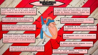 El transporte rápido de sangre con oxígeno y nutrientes a
los tejidos y órganos del cuerpo humanos, así como la
recogida de desechos metabólicos. También lleva
sustancias vitales para la homeostasis corporal.
El control hormonal: lleva hormonas a los órganos
diana y secreta sus propias hormonas.
La regulación de la temperatura: controla la
distribución del calor entre el centro del organismo y
la piel.
La reproducción: ayuda a que se produzca una
erección.
La defensa contra agentes patógenos: transporta
células inmunitarias y anticuerpos.
La expulsión de sustancias y sales a través del filtrado del
riñón manteniendo el pH de la sangre y el equilibro de
sodio (sal) y potasio, fundamental para la vida.
La circulación sistémica o mayor: Circulación de la
sangre desde el ventrículo izquierdo del corazón
hacia todas las partes del cuerpo, a excepción de los
pulmones, y su vuelta a la aurícula derecha del
corazón.
La circulación pulmonar o menor: transporta la sangre
desoxigenada desde el corazón hasta los pulmones,
para luego regresar la oxigenada de vuelta al corazón.
La Circulación cerebral: recibe su aporte arterial
de la carótida interna y las arterias vertebrales.
Circulación coronaria: el miocardio recibe su propio
aporte arterial, se nutre de las arterias coronarias
derecha e izquierda, que se originan en la base de la
aorta
Períodos de llenado (diástole) Y Períodos de
contracción y eyección de la sangre (sístole)
 