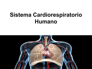 Sistema Cardiorespiratorio
Humano
 