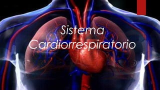 Sistema
Cardiorrespiratorio
 