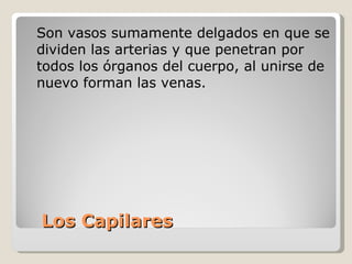 Los Capilares Son vasos sumamente delgados en que se dividen las arterias y que penetran por todos los órganos del cuerpo, al unirse de nuevo forman las venas.  