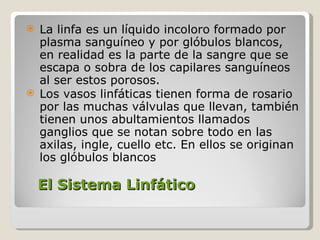 El Sistema Linfático  La linfa es un líquido incoloro formado por plasma sanguíneo y por glóbulos blancos, en realidad es la parte de la sangre que se escapa o sobra de los capilares sanguíneos al ser estos porosos.  Los vasos linfáticas tienen forma de rosario por las muchas válvulas que llevan, también tienen unos abultamientos llamados ganglios que se notan sobre todo en las axilas, ingle, cuello etc. En ellos se originan los glóbulos blancos 