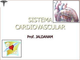 SISTEMA CARDIOVASCULAR Prof. JALDANAM 