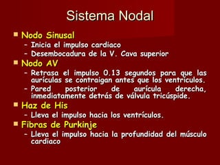 Sistema Nodal Nodo Sinusal Inicia el impulso cardiaco Desembocadura de la V. Cava superior Nodo AV Retrasa el impulso 0.13 segundos para que las aurículas se contraigan antes que los ventrículos. Pared posterior de aurícula derecha, inmediatamente detrás de válvula tricúspide. Haz de His Lleva el impulso hacia los ventrículos. Fibras de Purkinje Lleva el impulso hacia la profundidad del músculo cardiaco 