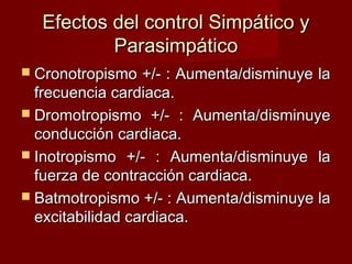 Efectos del control Simpático y Parasimpático Cronotropismo +/- : Aumenta/disminuye la frecuencia cardiaca. Dromotropismo +/- : Aumenta/disminuye conducción cardiaca. Inotropismo +/- : Aumenta/disminuye la fuerza de contracción cardiaca. Batmotropismo +/- : Aumenta/disminuye la excitabilidad cardiaca. 