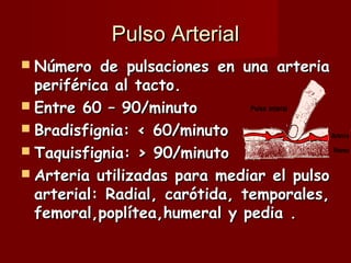 Pulso Arterial Número de pulsaciones en una arteria periférica al tacto. Entre 60 – 90/minuto Bradisfignia: < 60/minuto Taquisfignia: > 90/minuto Arteria utilizadas para mediar el pulso arterial: Radial, carótida, temporales, femoral,poplítea,humeral y pedia . 