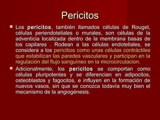 Pericitos Los  pericitos , también llamados células de Rouget, células periendoteliales o murales, son células de la adventicia localizada dentro de la membrana basas de los capilares . Rodean a las células endoteliales, se considera a los  pericitios como unas células contráctiles que estabilizan las paredes vasculares y participan en la regulación del flujo sanguíneo en la microcirculacion.   Adicionalmente, los  pericitos  se comportan como células pluripotentes y se diferencian en adipocitos, osteoblastos y fagocitos, e influyen en la formación de nuevos vasos, sin que se conozca todavía muy bien el mecanismo de la angiogénesis. 