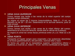 Principales Venas VENA CAVA SUPERIOR Tronco venoso que recibe a las venas de la mitad superior del cuerpo (excepto venas cardiacas). Se origina al unirse los 2 troncos braquiocefalicos. Mide 6 – 8 cm, su diámetro es de 20 – 22 mm. Desemboca en la aurícula derecha, junto al nodo sinusal. VENA CAVA INFERIOR Tronco venoso que recibe a las venas de la mitad inferior del cuerpo, desemboca en la aurícula derecha, donde está la válvula de Eustaquio. Se origina al unirse las venas iliacas primitivas entre L4 y L5.  Mide 22 a 25 cm. VENA PORTA Transporta al hígado sangre poco oxigenada y las sustancias absorbidas en el tracto gastrointestinal y del páncreas, vesícula biliar y bazo. Se forma por unión de la mesentérica superior, mesentérica inferior y esplénica, a nivel de L2, mide 8 – 10 cm ; termina ramificada en el hígado. 