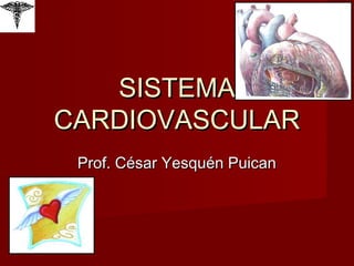 SISTEMA CARDIOVASCULAR Prof. César Yesquén Puican 