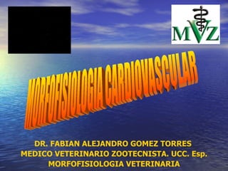 DR. FABIAN ALEJANDRO GOMEZ TORRES  MEDICO VETERINARIO ZOOTECNISTA. UCC. Esp. MORFOFISIOLOGIA VETERINARIA MORFOFISIOLOGIA CARDIOVASCULAR 