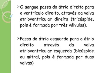O sangue passa do átrio direito para o ventrículo direito, através da valva atrioventricular direita (tricúspide, pois é formada por três válvulas). Passa do átrio esquerdo para o átrio direito através da valva atrioventricular esquerda (bicúspide ou mitral, pois é formada por duas valvas) 