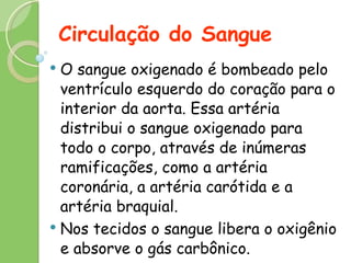 Circulação do Sangue O sangue oxigenado é bombeado pelo ventrículo esquerdo do coração para o interior da aorta. Essa artéria distribui o sangue oxigenado para todo o corpo, através de inúmeras ramificações, como a artéria coronária, a artéria carótida e a artéria braquial. Nos tecidos o sangue libera o oxigênio e absorve o gás carbônico. 