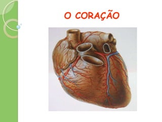 O CORAÇÃO 