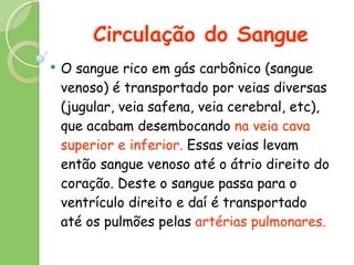 Circulação do Sangue O sangue rico em gás carbônico (sangue venoso) é transportado por veias diversas (jugular, veia safena, veia cerebral, etc), que acabam desembocando  na veia cava superior e inferior.  Essas veias levam então sangue venoso até o átrio direito do coração. Deste o sangue passa para o ventrículo direito e daí é transportado até os pulmões pelas  artérias pulmonares. 