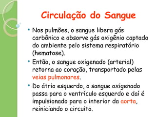 Circulação do Sangue Nos pulmões, o sangue libera gás carbônico e absorve gás oxigênio captado do ambiente pelo sistema respiratório (hematose). Então, o sangue oxigenado (arterial) retorna ao coração, transportado pelas  veias pulmonares .  Do átrio esquerdo, o sangue oxigenado passa para o ventrículo esquerdo e daí é impulsionado para o interior da  aorta , reiniciando o circuito. 
