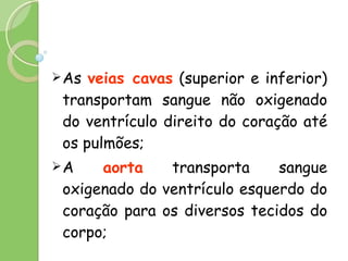 As  veias cavas  (superior e inferior) transportam sangue não oxigenado do ventrículo direito do coração até os pulmões; A  aorta  transporta sangue oxigenado do ventrículo esquerdo do coração para os diversos tecidos do corpo; 
