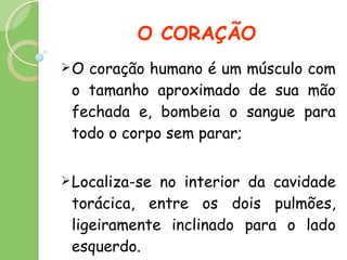 O CORAÇÃO O coração humano é um músculo com o tamanho aproximado de sua mão fechada e, bombeia o sangue para todo o corpo sem parar; Localiza-se no interior da cavidade torácica, entre os dois pulmões,  ligeiramente inclinado para o lado esquerdo. 