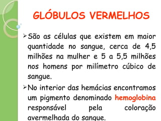 GLÓBULOS VERMELHOS São as células que existem em maior quantidade no sangue, cerca de 4,5 milhões na mulher e 5 a 5,5 milhões nos homens por milímetro cúbico de sangue. No interior das hemácias encontramos um pigmento denominado  hemoglobina  responsável pela coloração avermelhada do sangue. 