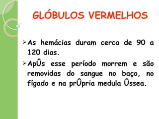 GLÓBULOS VERMELHOS As hemácias duram cerca de 90 a 120 dias. Após esse período morrem e são removidas do sangue no baço, no fígado e na própria medula óssea. 