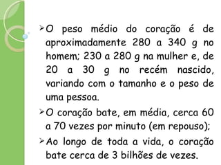 O peso médio do coração é de aproximadamente 280 a 340 g no homem; 230 a 280 g na mulher e, de 20 a 30 g no recém nascido, variando com o tamanho e o peso de uma pessoa. O coração bate, em média, cerca 60 a 70 vezes por minuto (em repouso); Ao longo de toda a vida, o coração bate cerca de 3 bilhões de vezes. 