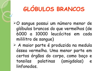 GLÓBULOS BRANCOS O sangue possui um número menor de glóbulos brancos do que vermelhos (de 6000 a 10000 leucócitos em cada mililitro de sangue) A maior parte é produzida na medula óssea vermelha. Uma menor parte em certos órgãos do corpo, como baço e tonsilas palatinas (amigdalas) e linfonodos. 