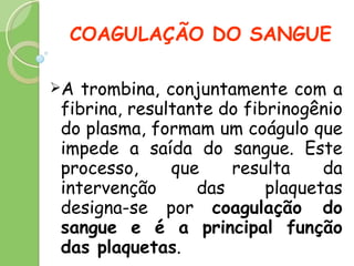COAGULAÇÃO DO SANGUE A trombina, conjuntamente com a fibrina, resultante do fibrinogênio do plasma, formam um coágulo que impede a saída do sangue. Este processo, que resulta da intervenção das plaquetas designa-se por  coagulação do sangue e é a principal função das plaquetas . 