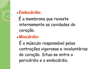 ● Endocárdio:  É a membrana que reveste internamente as cavidades do coração.   ● Miocárdio:  É o músculo responsável pelas contrações vigorosas e involuntárias do coração. Situa-se entre o pericárdio e o endocárdio. 