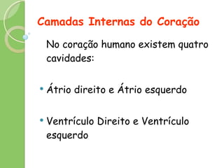 Camadas Internas do Coração No coração humano existem quatro cavidades: Átrio direito e Átrio esquerdo Ventrículo Direito e Ventrículo esquerdo 