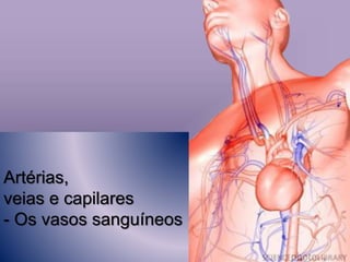Artérias,
veias e capilares
- Os vasos sanguíneos
 