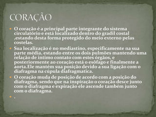 O coração é a principal parte integrante do sistema circulatório e está localizado dentro do gradil costal ,estando desta forma protegido do meio externo pelas costelas. Sua localização é no mediastino, especificamente na sua parte média, estando entre os dois pulmões mantendo uma relação de intimo contato com estes órgãos, e posteriormente ao coração está o esôfago e finalmente a aorta.Ele mantém sua posição devido a sua ligação com o diafragma na cúpula diafragmatica. O coração muda de posição de acordo com a posição do diafragma, sendo que na inspiração o coração desce junto com o diafragma e expiração ele ascende também junto com o diafragma. . CORAÇÃO