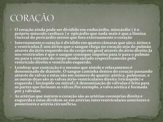 O coração ainda pode ser dividido em endocárdio, miocárdio ( é o próprio músculo cardíaco ) e  epicárdio que nada mais é que a lâmina visceral do pericárdio seroso que fora externamente o coração Internamente o coração é dividido em quatro câmaras que são:2 átrios e 2 ventrículos.É nos átrios que o sangue chega no coração seja do pulmão através do átrio esquerdo ou do corpo em geral através do átrio direito.Já nos ventrículos é que o sangue consegue impulso para ir para o pulmão ou para o restante do corpo sendo ejetado respectivamente pelo ventrículo direito e ventrículo esquerdo. Lembrar que contração é o mesmo que sístole e relaxamento é denominado de diástole. O sangue caminha dentro do coração passando através de valvas e estas são em número de quatro: aórtica, pulmonar, e as outras duas são as valvas átrio-ventriculares direita (tricúspide) e esquerda ( bicúspide ou mitral).A denominação de válvulas é feita para as partes que formam as válvas.Por exemplo, a valva aórtica é formada por 3 válvulas. As artérias que nutrem o coração são as artérias coronárias direita e esquerda e estas dividem-se em artérias interventriculares anteriores e posteriores e artéria circunflexa.CORAÇÃO
