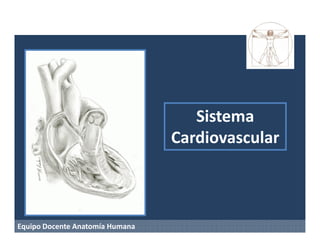 Sistema
                                 Cardiovascular



Equipo Docente Anatomía Humana
 