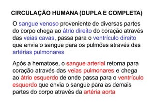 CIRCULAÇÃO HUMANA (DUPLA E COMPLETA)
O sangue venoso proveniente de diversas partes
do corpo chega ao átrio direito do coração através
das veias cavas, passa para o ventrículo direito
que envia o sangue para os pulmões através das
artérias pulmonares
Após a hematose, o sangue arterial retorna para
coração através das veias pulmonares e chega
ao átrio esquerdo de onde passa para o ventrículo
esquerdo que envia o sangue para as demais
partes do corpo através da artéria aorta
 