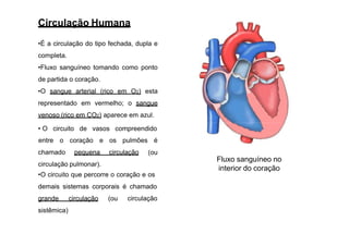 Circulação Humana
•É a circulação do tipo fechada, dupla e
completa.
•Fluxo sanguíneo tomando como ponto
de partida o coração.
•O sangue arterial (rico em O2) esta
representado em vermelho; o sangue
venoso (rico em CO2) aparece em azul.
• O circuito de vasos compreendido
chamado pequena circulação
entre o coração e os pulmões é
(ou
circulação pulmonar).
•O circuito que percorre o coração e os
demais sistemas corporais é chamado
grande circulação (ou circulação
sistêmica)
Fluxo sanguíneo no
interior do coração
 