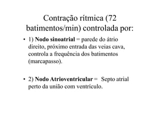Contração rítmica (72
batimentos/min) controlada por:
• 1) Nodo sinoatrial = parede do átrio
direito, próximo entrada das veias cava,
controla a frequência dos batimentos
(marcapasso).
• 2) Nodo Atrioventricular = Septo atrial
perto da união com ventrículo.
 