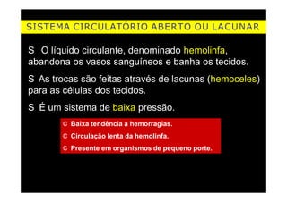 SISTEMA CIRCULATÓRIO ABERTO OU LACUNAR
S O líquido circulante, denominado hemolinfa,
abandona os vasos sanguíneos e banha os tecidos.
S As trocas são feitas através de lacunas (hemoceles)
para as células dos tecidos.
S É um sistema de baixa pressão.
C Baixa tendência a hemorragias.
C Circulação lenta da hemolinfa.
C Presente em organismos de pequeno porte.
 