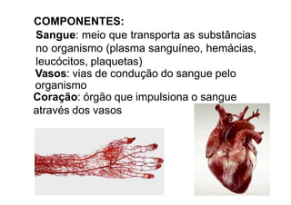 COMPONENTES:
Sangue: meio que transporta as substâncias
no organismo (plasma sanguíneo, hemácias,
leucócitos, plaquetas)
Vasos: vias de condução do sangue pelo
organismo
Coração: órgão que impulsiona o sangue
através dos vasos
 