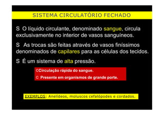 SISTEMA CIRCULATÓRIO FECHADO
S O líquido circulante, denominado sangue, circula
exclusivamente no interior de vasos sanguíneos.
S As trocas são feitas através de vasos finíssimos
denominados de capilares para as células dos tecidos.
S É um sistema de alta pressão.
CCirculação rápida do sangue.
C Presente em organismos de grande porte.
EXEMPLOS: Anelídeos, moluscos cefalópodes e cordados.
 