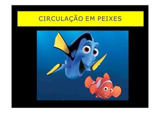 CIRCULAÇÃO EM PEIXES
 