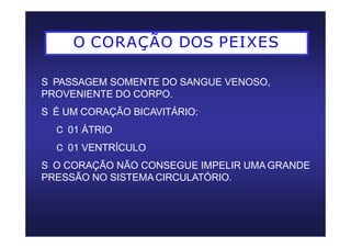 O CORAÇÃO DOS PEIXES
S PASSAGEM SOMENTE DO SANGUE VENOSO,
PROVENIENTE DO CORPO.
S É UM CORAÇÃO BICAVITÁRIO:
C 01 ÁTRIO
C 01 VENTRÍCULO
S O CORAÇÃO NÃO CONSEGUE IMPELIR UMA GRANDE
PRESSÃO NO SISTEMACIRCULATÓRIO.
 