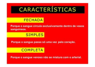 CARACTERÍSTICAS
FECHADA
Porque o sangue circula exclusivamente dentro de vasos
sanguíneos.
SIMPLES
Porque o sangue passa só uma vez pelo coração.
COMPLETA
Porque o sangue venoso não se mistura com o arterial.
 