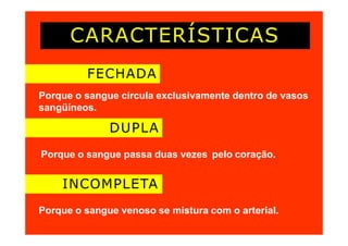 CARACTERÍSTICAS
FECHADA
Porque o sangue circula exclusivamente dentro de vasos
sangüíneos.
DUPLA
Porque o sangue passa duas vezes pelo coração.
INCOMPLETA
Porque o sangue venoso se mistura com o arterial.
 