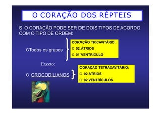 O CORAÇÃO DOS RÉPTEIS
S O CORAÇÃO PODE SER DE DOIS TIPOS DE ACORDO
COM O TIPO DE ORDEM:
CTodos os grupos
CORAÇÃO TRICAVITÁRIO:
C 02 ÁTRIOS
C 01 VENTRÍCULO
C CROCODILIANOS
CORAÇÃO TETRACAVITÁRIO:
C 02 ÁTRIOS
C 02 VENTRÍCULOS
Exceto:
 