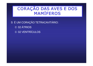 CORAÇÃO DAS AVES E DOS
MAMÍFEROS
S É UM CORAÇÃO TETRACAVITÁRIO:
C 02 ÁTRIOS
C 02 VENTRÍCULOS
 