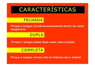 CARACTERÍSTICAS
FECHADA
Porque o sangue circula exclusivamente dentro de vasos
sangüíneos.
DUPLA
Porque o sangue passa duas vezes pelo coração.
COMPLETA
Porque o sangue venoso não se mistura com o arterial.
 