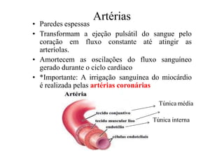 Artérias
• Paredes espessas
• Transformam a ejeção pulsátil do sangue pelo
coração em fluxo constante até atingir as
arteríolas.
• Amortecem as oscilações do fluxo sanguíneo
gerado durante o ciclo cardíaco
• *Importante: A irrigação sanguínea do miocárdio
é realizada pelas artérias coronárias
Túnica média
Túnica interna
 